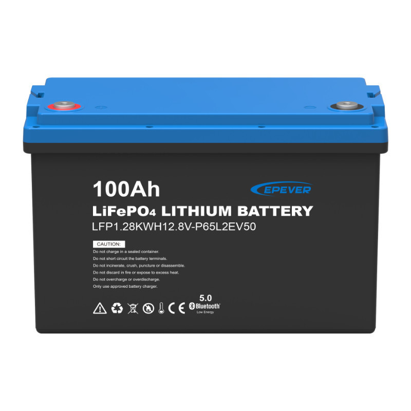 Batteria Epever LiFePO4 12,8 V 100 Ah IP65 con tappetino riscaldante